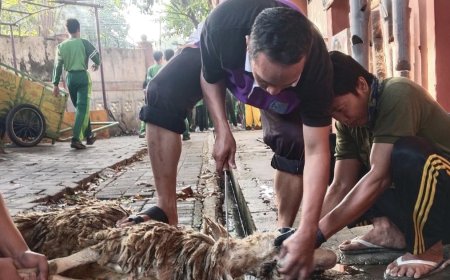 SMP Negeri 1 Sidoarjo Melaksanakan Kegiatan Kurban di Sekolah pada Hari Rabu Tanggal 19 Juni 2024