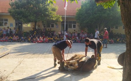 PENYEMBELIHAN HEWAN KURBAN SDN KREMBUNG 1