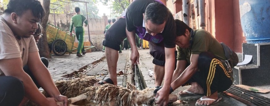 SMP Negeri 1 Sidoarjo Melaksanakan Kegiatan Kurban di Sekolah pada Hari Rabu Tanggal 19 Juni 2024