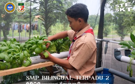 Panen Raya Hiroponik oleh Santri SMP Bilie