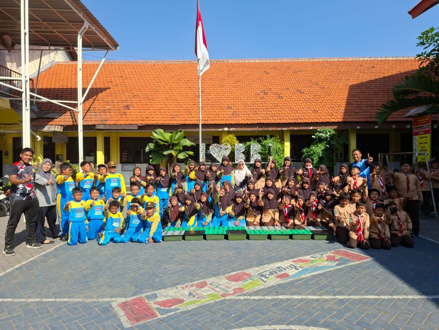 Belajar Hidroponik, Siswa Kelas 4 SDN Bringinbendo 1 Manfaatkan Botol Bekas untuk Menanam Kangkung dan Pakcoy