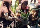 GERANIUM: Gerakkan Berbenah Taman Asri Rindang, Wujudkan Sekolah yang Sejuk dan Indah
