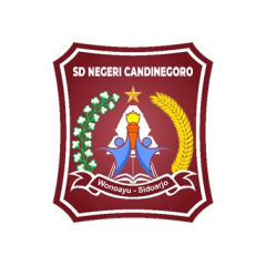 SDN CANDINEGORO