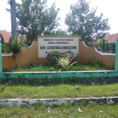 SDN KEDUNGCANGKRING