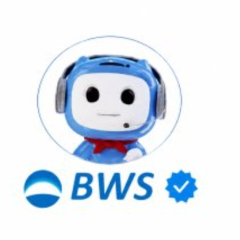 Solusi BWS Mobile Terkunci Karena Salah PIN