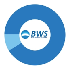 cara mengatasi akun bws yang terblokir salah pin