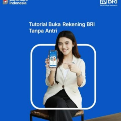 Penyebab Mau Aktivasi IB Token Qlola By BRI Atau HuB