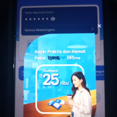 Cara Mudah Lupa PIN BRImo Dapat Dilakukan Tanpa Ke Bank